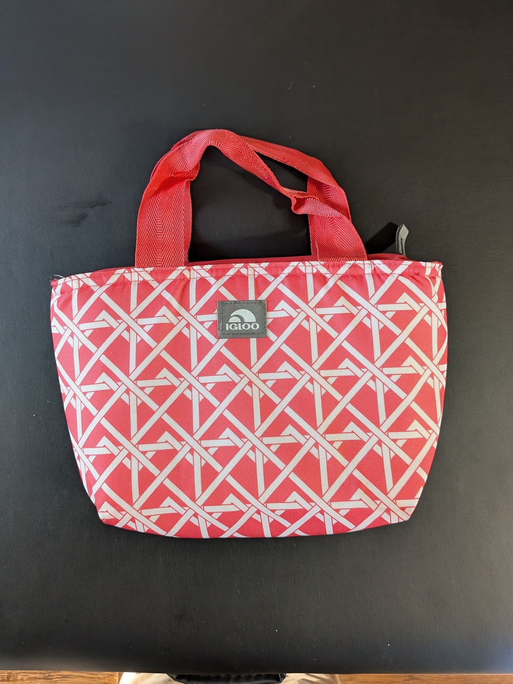 Igloo Lunch Cooler
